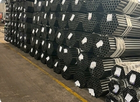  	Cây Ngũ Gia Bì để bàn